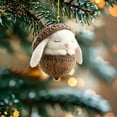 thumbnail image 1 of HCBY Sleeping Forest Animals in Acorn Christmas Ornament, Acrylic Hanging Pendant, Unique Animal Theme Tree Decor, Holiday Gift for Nature Lovers(I,3.1"), 1 of 6