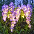 thumbnail image 1 of HCBY Solar Garden Light, Flower Stake Light, LED Artificial Wisteria Solar Powered Ground Lamp, Waterproof Outdoor Pathway Patio Yard Landscape corative Light, 1 of 6