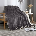 thumbnail image 1 of HCBY Thick Warm Sherpa Blanket Throw - Soft Lightweight Plush Fleece Reversible Blanket for Bed Sofa Couch Camping and Travel (Gray 78"x59"), 1 of 7
