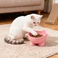 thumbnail image 1 of HCBY Whisker Fatigue Relief Cat Bowl, Elevated Feeder for Neck Support & Better Digestion, Wide Shallow Plastic Dish in Multiple Colors(Pink,7.48"x3.94"), 1 of 6