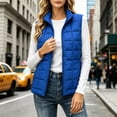 thumbnail image 1 of HCBY Women Quilted Puffer Vest Zip Up Stand Collar Lightweight Sleeveless Padded Gilet with Pockets for Fall Winter, 1 of 9