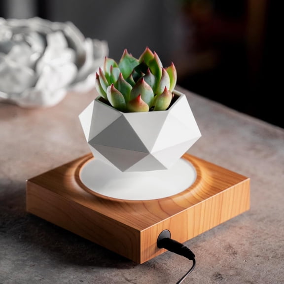 HCNT Levitation Air Bonsai Pot, Magnetic Levitating Mini Rotating Flower Pot Planters Suspension Floating Succulents Pot Sky-Garden Plant Potted for Home, Office