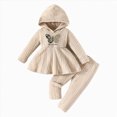 thumbnail image 1 of HCNTES 1T 2T 3T Child Girl Fall Winter Clothes Little Kids Long Sleeve Butterfly Embroidery Hooded Sweatshirt Shirt Elastic Waist Pants 2PCS Matching Sets Kid Princess Outfits, 1 of 7