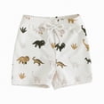 thumbnail image 1 of HCNTES Boys Beach Shorts Kids Swimming Trunks with Mesh Lining Toddler Board Shorts Quick Dry Funny Printed Shorts(White,18-24 Months), 1 of 4