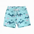 thumbnail image 1 of HCNTES Boys Swim Trunks Toddler Kids Baby Boys Summer Print Shorts Beach Swimwear Swimming Trunks(Mint Green,18-24 Months), 1 of 4
