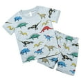 thumbnail image 1 of HCNTES Boys Summer Clothes Size 7-8 Dinosaur Graphic Tee and Athletic Shorts 2Pcs Set​,4-5 Years, 1 of 9
