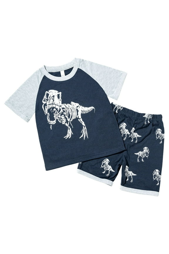 Boys Summer Clothes Size 8-10 Dinosaur Hooded Towel and Swim Trunks Beach Combo,4-5 Years