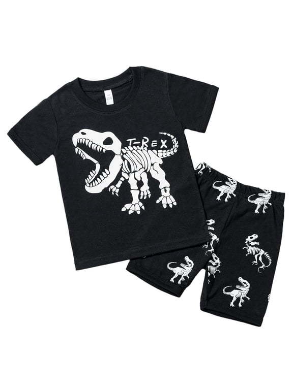 Boys Summer Clothes Size 8 Dinosaur Hoodie and Jogger Pants Set for Cool Evenings,2-3 Years