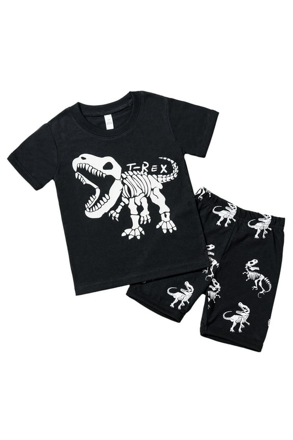 Boys Summer Clothes Size 8 Dinosaur Hoodie and Jogger Pants Set for Cool Evenings​,2-3 Years