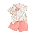 thumbnail image 1 of HCNTES Baby Girl Summer Clothes Ombre Short Sleeve T Shirt and Elastic Rolled Shorts Cute Toddler Outfits 3-4 Years Pink, 1 of 8