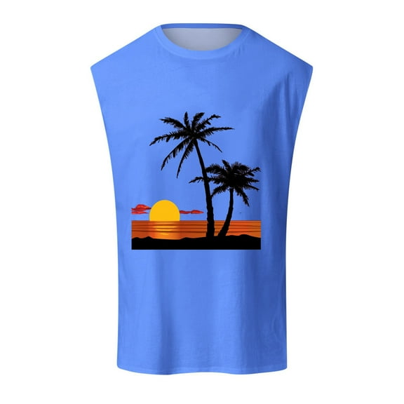 HCNTES Men's Muscle T-Shirt Sleeveless Muscle Tank Classic Muscle Tee Top for Men Running Vest Sportswear Tank Top(Blue,L)