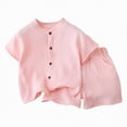thumbnail image 1 of HCNTES Toddler Baby Boy Birthday Outfit Graphic Animals Embroidery Short Sleeve T-Shirt and Gingham Plaid Shorts Set(Pink,3-4 Years), 1 of 3