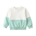 thumbnail image 1 of HCNTES Toddler Baby Boy Fall Winter Clothes Color Block Long Sleeve Crewneck Sweatshirt Oversize Pullover Casual Outfit(12-18 Months,G173-Blue), 1 of 3