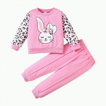 HCNTES Toddler Baby Girl Clothes Long Sleeve T Shirt Tops Pants Outfits Set(4-5 Years,Pink-p1)