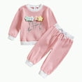 thumbnail image 1 of HCNTES Toddler Clothes for Girls Baby 3D Flower Fall Winter Outfits Sweatshirt Pullover Cute Pants Set(Pink&3,2-3 Years), 1 of 9