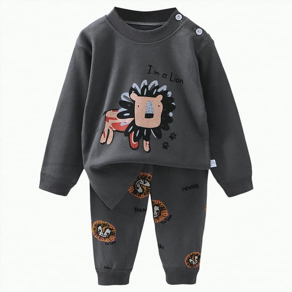 HCNTES Toddler Fall Outfits for Girl Boy Girl Long Sleeve Hoodie Top and Long Sweatpants Set Toddler Sweatsuit(Style2,2-3 Years)