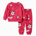thumbnail image 1 of HCNTES Toddler Girls Clothes 18 24 Months 2T 3T 4T 5T Fall Winter Outfits Baby Kids Girls Long Sleeve Round Neck Flower Heart Print Sweatshirt Tops Long Pant Sets, 1 of 7