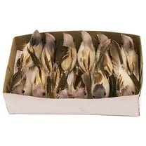 HCTSHG 12 Pcs Artificial Birds Fake Birds Figure Christmas Bird Ornaments for Tree Feathered for Halloween Craft Jungle Garden Home Ornament Decoration, Assorted Colors