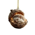 thumbnail image 1 of HCTSHG Animal Christmas Ornament,3D Flat Acrylic Forest Animal Decoration, Forest Animal Decoration, Acrylic Hanging Woodland Pendant Nature Themed Home Decor Animal Lovers, 1 of 6