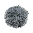 thumbnail image 1 of HCTSHG Fake Moss Preserved Reindeer Moss 10g for Potted Plants, Arts and Crafts, Terrariums, Wall Decor, Centerpieces, Fairy Gardens, Wedding, Floral Project, 1 of 6