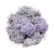 HCTSHG Fake Moss Preserved Reindeer Moss 10g for Potted Plants, Arts and Crafts, Terrariums, Wall Decor, Centerpieces, Fairy Gardens, Wedding, Floral Project