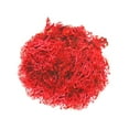 thumbnail image 1 of HCTSHG Fake Moss Preserved Reindeer Moss 10g for Potted Plants, Arts and Crafts, Terrariums, Wall Decor, Centerpieces, Fairy Gardens, Wedding, Floral Project, 1 of 6