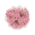 thumbnail image 1 of HCTSHG Fake Moss Preserved Reindeer Moss 10g for Potted Plants, Arts and Crafts, Terrariums, Wall Decor, Centerpieces, Fairy Gardens, Wedding, Floral Project, 1 of 6