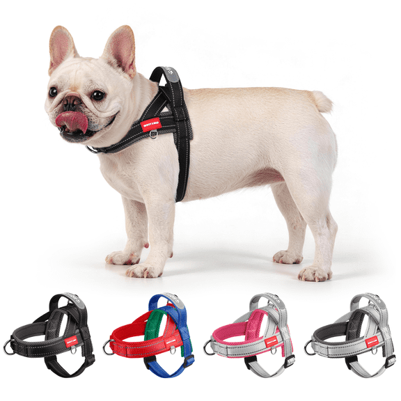 HCY&WLD No Pull Dog Harness with 3 Clips and Soft Padded Handle, Easy to Train and Walk (Black, S)