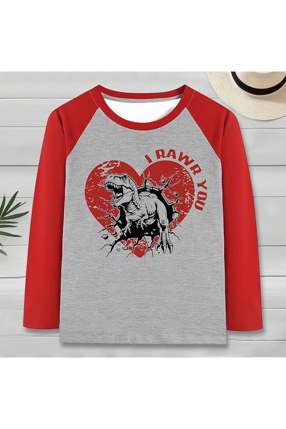 Boys Casual Crew Neck Long Sleeve Tops Dinosaur Graphic Pattern Print Raglan Style T-Shirts Casual Daily Tees