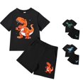 thumbnail image 1 of HCYSFG Boys Dinosaur Graphic Outfit Sets 2 Piece T Shirt And Shorts Clothing Sets Crewneck Short Sleeve Elastic Waist Matching Sets, 1 of 8