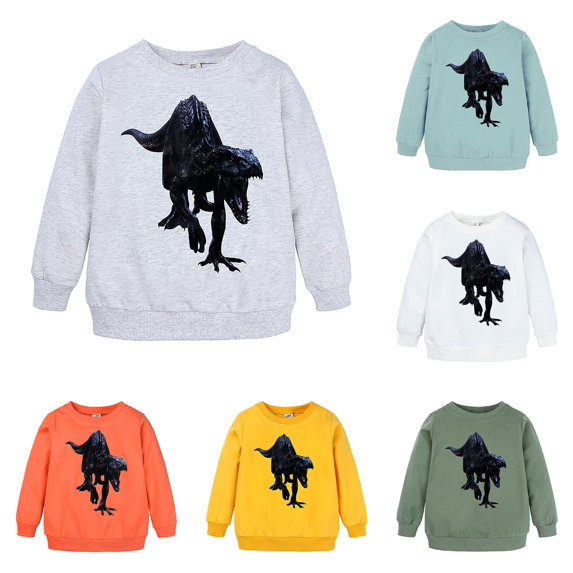 HCYSFG Boys Dinosaur Hoodies Long Sleeve Hooded Kangaroo Pocket Relaxed Fit Drawstring Ribbed Pullovers Animal Lover Sweatshirts