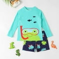 thumbnail image 1 of HCYSFG Boys Swimsuit Summer Split Long Sleeve Cartoon Frog Rash Guard Top Matching Board Shorts Protection Active Swimwear 2 Piece Swimwear Set Pack, 1 of 7