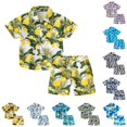 thumbnail image 1 of HCYSFG Boys Tropical Print Outfit Sets 2 Piece Button Front Shirt And Shorts Clothing Sets Collared Short Sleeve Matching Sets, 1 of 5