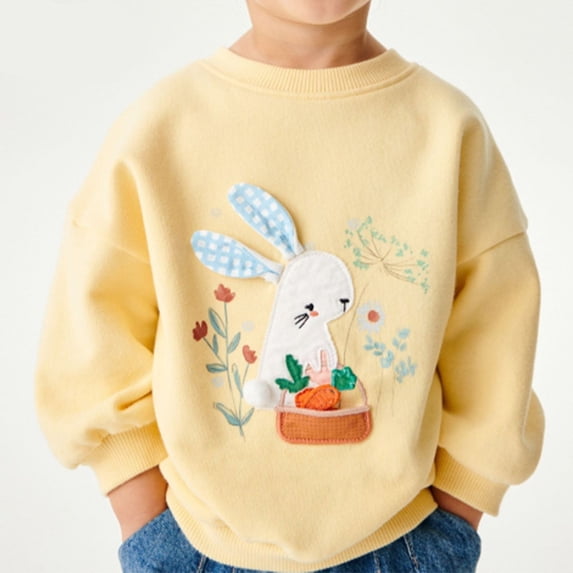 HCYSFG Girls Cartoon Bunny Printed Sweatshirt Long Sleeve Pants 2 Piece Set Fall Winter Outdoor Playwear Outfit Set