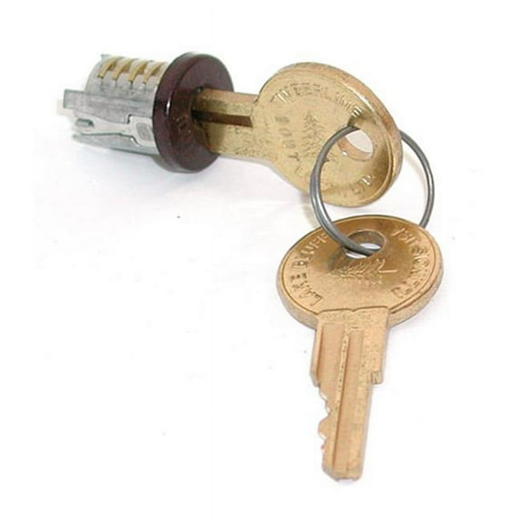 HD TLLP 400 100TA Lock Plugs - Statuary Bronze Keyed Alike, 100