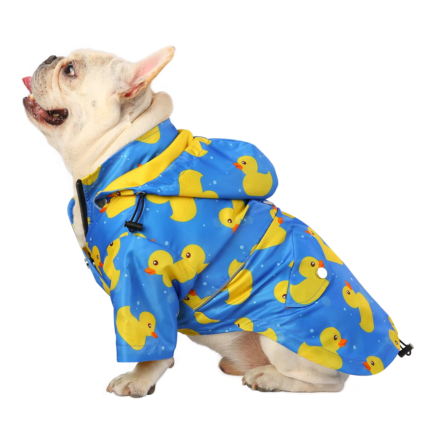 Dog hotsell raincoat canada