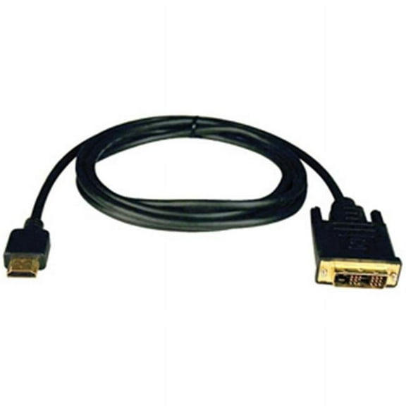 HDMI to DVI Digital Video Cable 10 ft