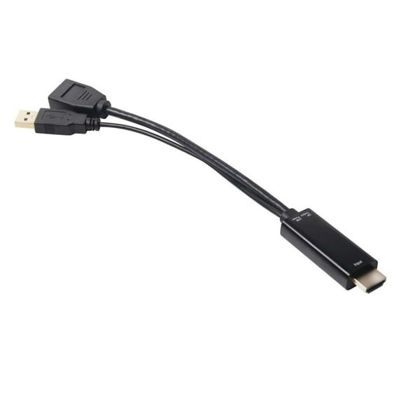 HDMI to DisplayPort Adapter, Black