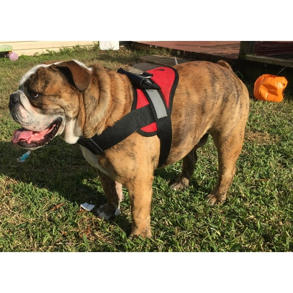 HDP Big Soft Polyester No Pull Dog Harness, Black, XXL (40" to 48" Chest Size)
