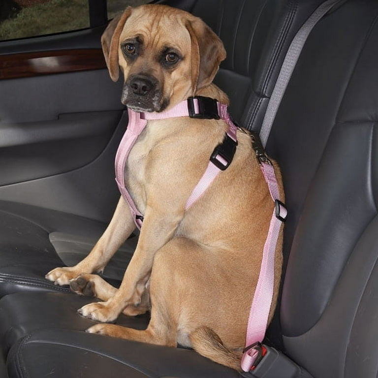 Dog car harness walmart discount