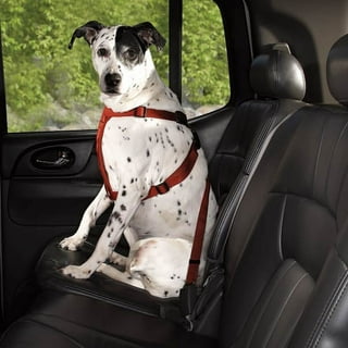 https://i5.walmartimages.com/seo/HDP-Car-Harness-Dog-Safety-Seat-Belt-Gear-Travel-System-Color-Red_eff2086b-78b0-4e3b-8ee5-2104cea7a088.15c86e55020ce83c35a417c4a078284d.jpeg?odnHeight=320&odnWidth=320&odnBg=FFFFFF
