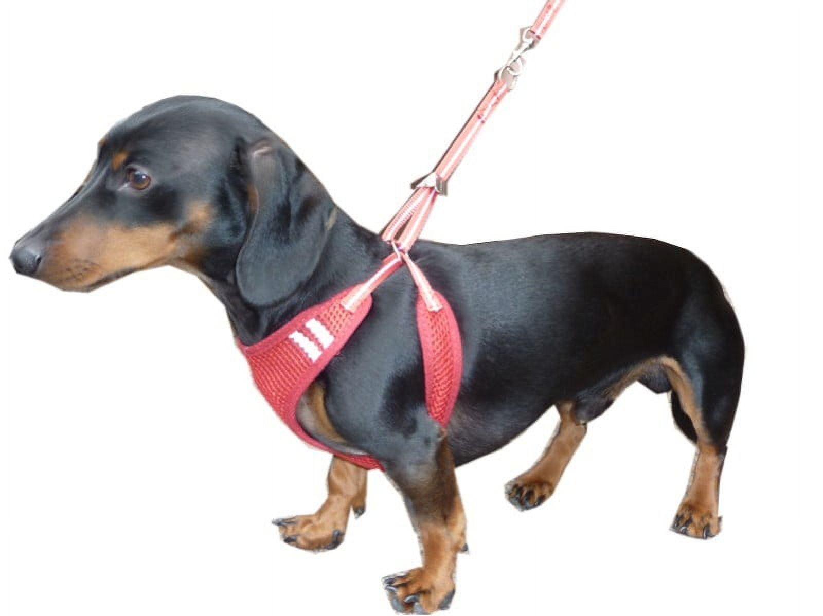 HDP No Pull No Choke Harness and Lead Combo Size XSmall Color Pink Walmart Business Supplies