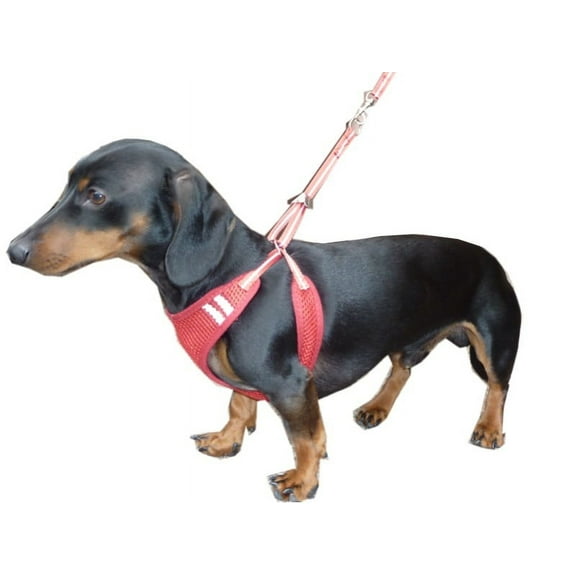 HDP No Pull No Choke Harness and Lead Combo Size:XSmall Color:Pink