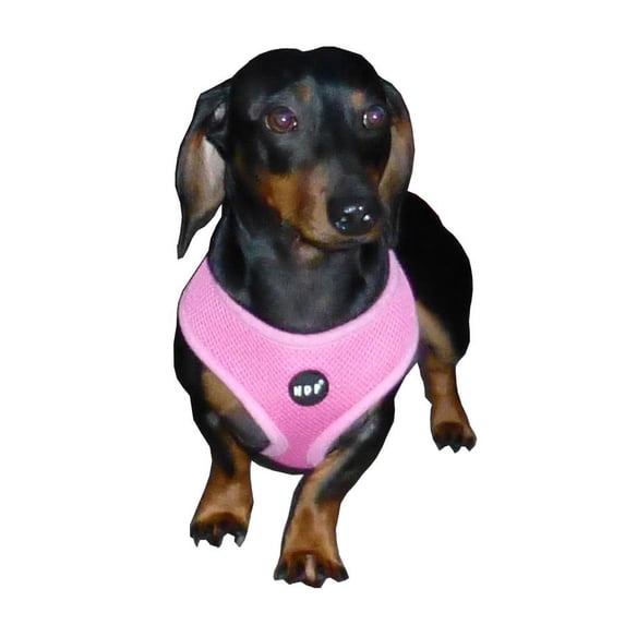 HDP Soft Dog Puppy Mesh Harness/Travel system  Size:Medium Color:Black