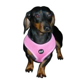 Hdp car dog new arrivals harness