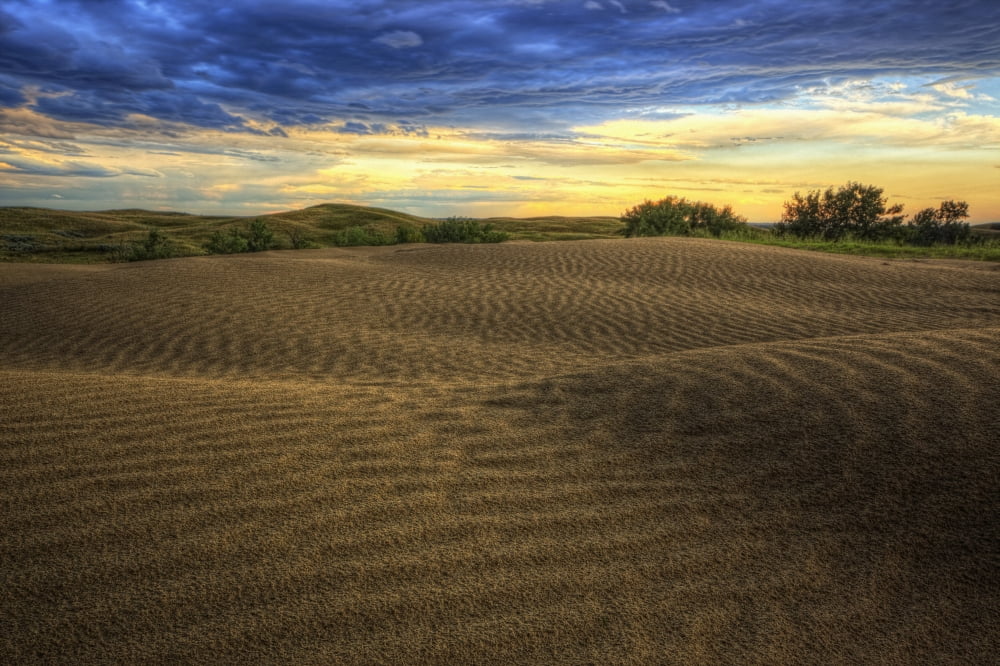 HDR image of the Great Sandhills at sunset Saskatchewan Canada Canvas Art - Robert Postma Design Pics (17 x 11)