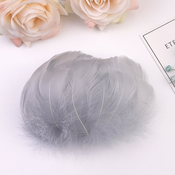 HDWUEN 100PC Colorful Feathers 6-12 Cm In Small Feather Diy Decoration