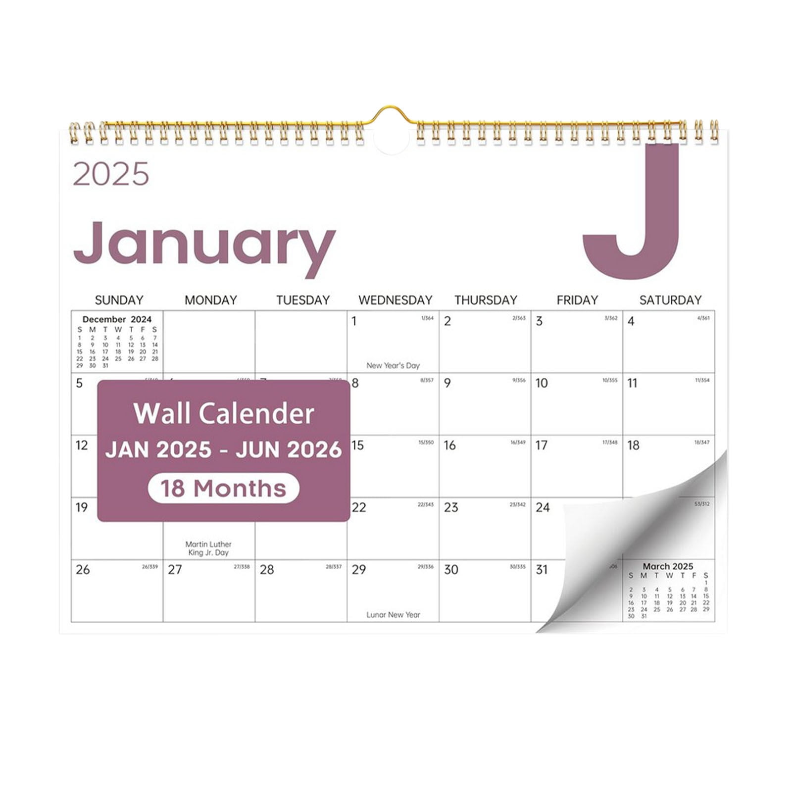 HDWUEN 18 Months Calendar Wall Hanging Calendar with Large Note Blanks ...