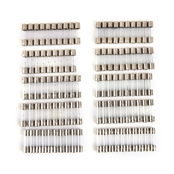 HEALEEP 100Pcs Car Fuse Tube Assortment for Electrical Protection in Households