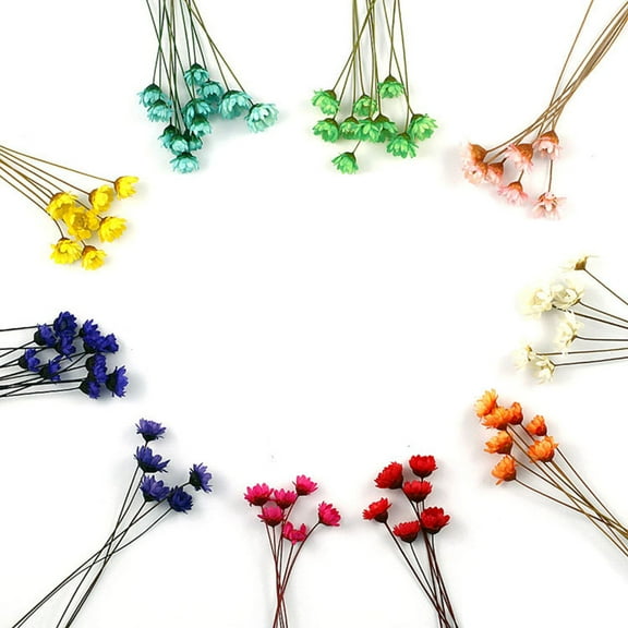 HEALEEP 100Pcs Dried Flower Mini Daisy Small Yellow for Photograph Prop and Home Decor